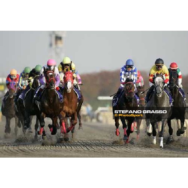 the horses of the Japan Cup Dirt after the start. The winner Alondite is first from right Tokyo, 25th nov. 2006 ph. Stefano Grasso