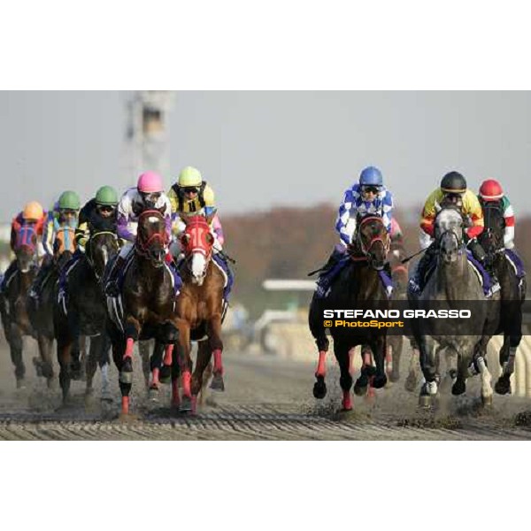 the horses of the Japan Cup Dirt after the start. The winner Alondite is first from right and Seeking The Dia, 2nd on the finish, is 3rd from right. Tokyo, 25th nov. 2006 ph. Stefano Grasso