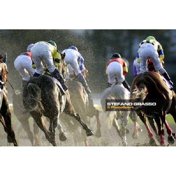 the horses of the Japan Cup Dirt turn the first bend after the start. Tokyo, 25th nov. 2006 ph. Stefano Grasso