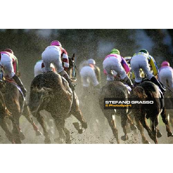 the horses of the Japan Cup Dirt turn the first bend after the start. Tokyo, 25th nov. 2006 ph. Stefano Grasso