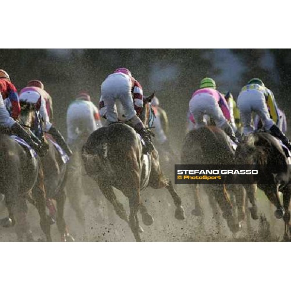 the horses of the Japan Cup Dirt turn the first bend after the start. Tokyo, 25th nov. 2006 ph. Stefano Grasso