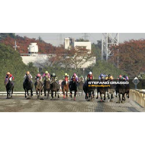 the straight of Japan Cup Dirt . Alondite, the winner, first from right Tokyo, 25th nov. 2006 ph. Stefano Grasso