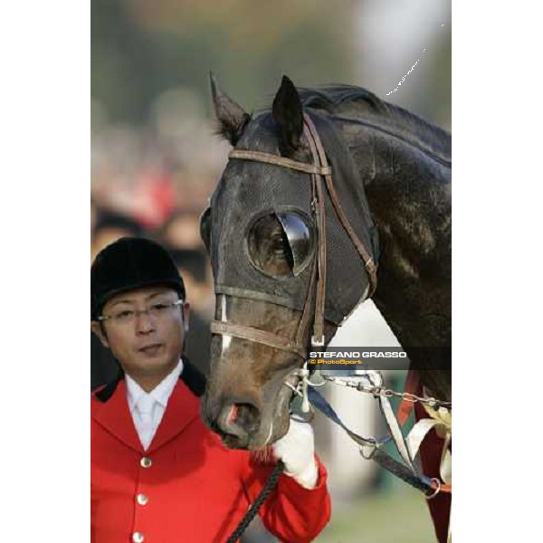 close up for Alondite winner of Japan Cup Dirt Tokyo, 25th nov. 2006 ph. Stefano Grasso