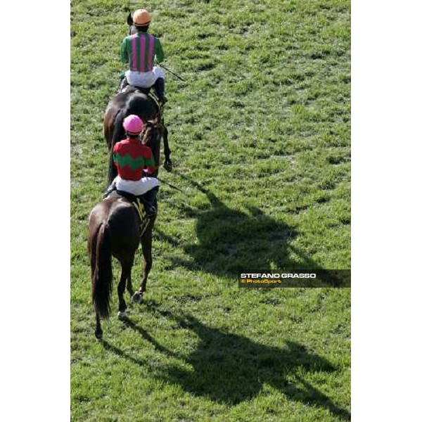 racing at Fuchu racecourse Tokyo, 25th nov. 2006 ph. Stefano Grasso