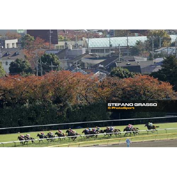 racing at Fuchu racecourse Tokyo, 25th nov. 2006 ph. Stefano Grasso