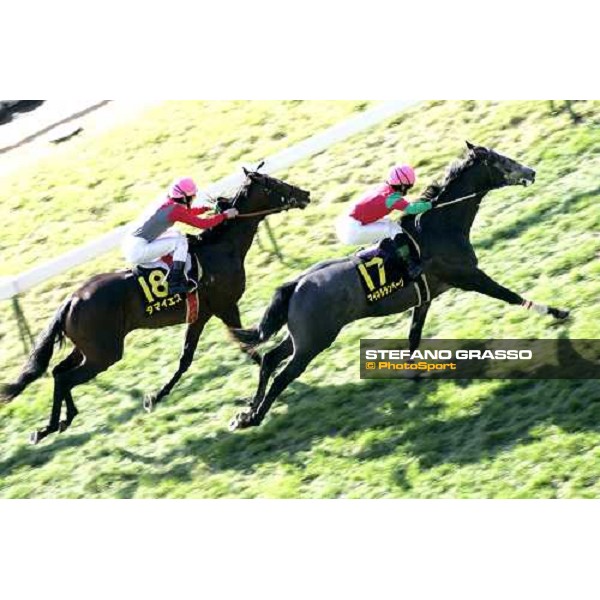 racing at Fuchu racecourse Tokyo, 25th nov. 2006 ph. Stefano Grasso