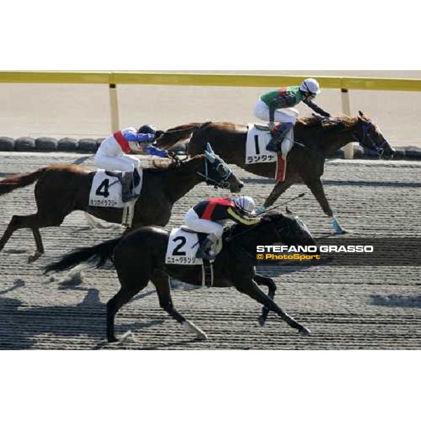 racing at Fuchu racecourse Tokyo, 25th nov. 2006 ph. Stefano Grasso