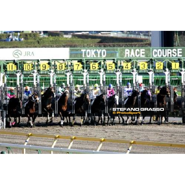 racing at Fuchu racecourse Tokyo, 25th nov. 2006 ph. Stefano Grasso