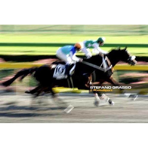 racing at Fuchu racecourse Tokyo, 25th nov. 2006 ph. Stefano Grasso