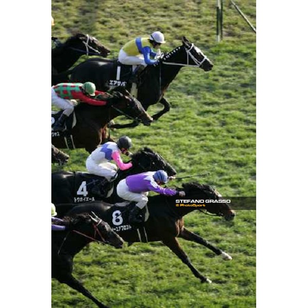 racing at Fuchu racecourse Tokyo, 25th nov. 2006 ph. Stefano Grasso