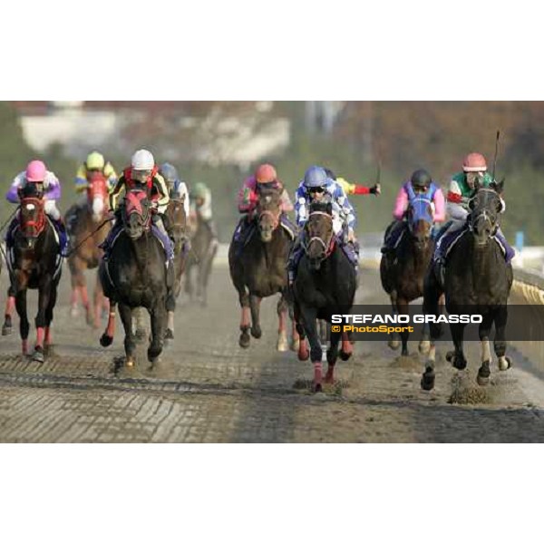 Hiroki Goto on Alondite (1st from right) wins the Japan Cup Dirt beating Yutaka Take on Seeking the Dia Tokyo, 25th nov. 2006 ph. Stefano Grasso