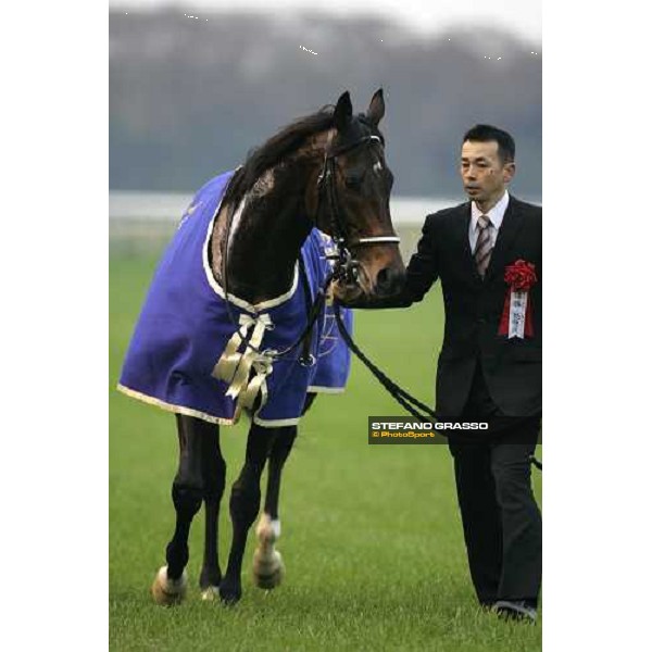 Deep Impact winner of The Japan Cup 2006 at Fuchu racecourse Tokyo, 26th nov.2006 ph. Stefano Grasso