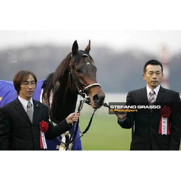 close up for Deep Impact winner of the Japan Cup 2006 with his two grooms at Fuchu racecourse Tokyo, 26th nov.2006 ph. Stefano Grasso