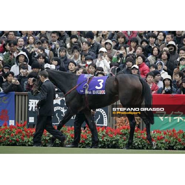 Oujia Board in the paddock before the Japan Cup 2006 at Fuchu racecourse Tokyo, 26th nov.2006 ph. Stefano Grasso