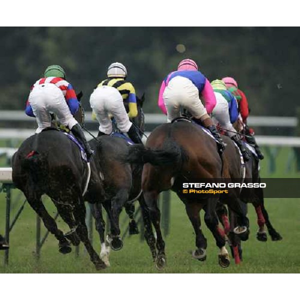 the horses of the Japan Cup 2006 on the first bend at Fuchu racecourse Tokyo, 26th nov.2006 ph. Stefano Grasso