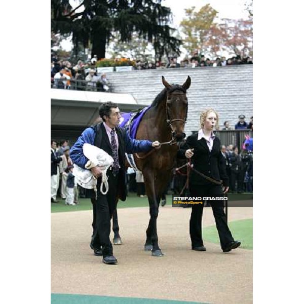 Freedonia parading in the paddock before the Japan Cup 2006 at Fuchu racecourse Tokyo, 26th nov.2006 ph. Stefano Grasso
