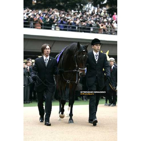 Deep Impact parading in the paddock before the Japan Cup 2006 at Fuchu racecourse Tokyo, 26th nov.2006 ph. Stefano Grasso