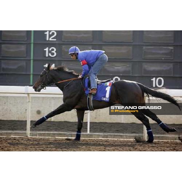 Endo Botti on Ramonti pictured at Sha Tin racetrack during morning track works Hong Kong, 6th dec. 2006 ph. Stefano Grasso