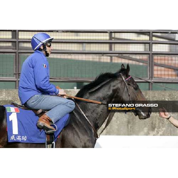 Endo Botti on Ramonti pictured at Sha Tin racetrack before morning track works Hong Kong, 6th dec. 2006 ph. Stefano Grasso