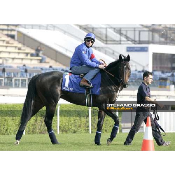 Endo Botti on Ramonti pictured at Sha Tin racetrack before morning track works Hong Kong, 6th dec. 2006 ph. Stefano Grasso