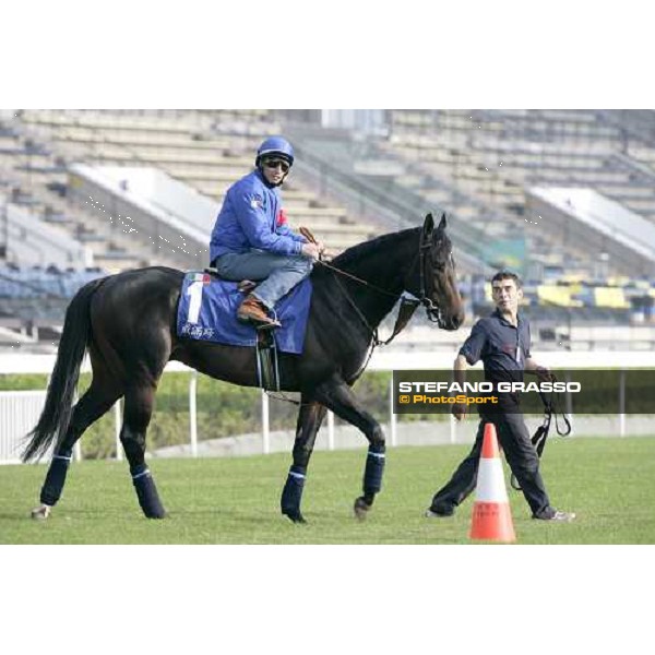 Endo Botti on Ramonti pictured at Sha Tin racetrack before morning track works Hong Kong, 6th dec. 2006 ph. Stefano Grasso