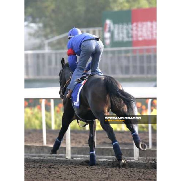 Endo Botti on Ramonti pictured at Sha Tin racetrack during morning track works Hong Kong, 6th dec. 2006 ph. Stefano Grasso