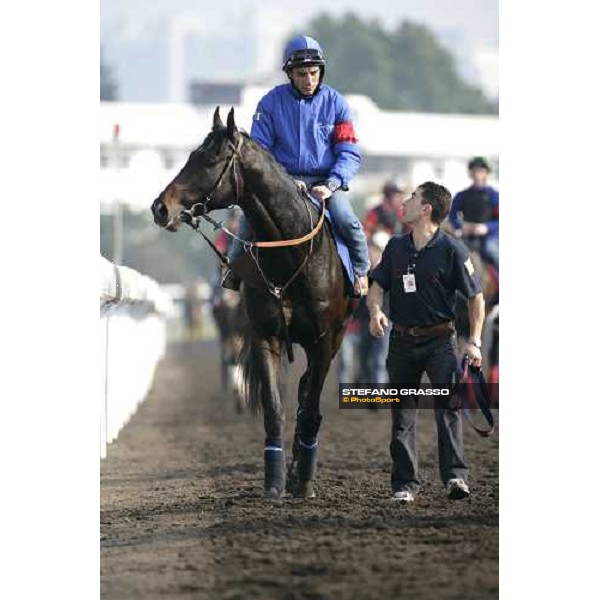 Endo Botti on Ramonti pictured at Sha Tin racetrack after morning track works Hong Kong, 6th dec. 2006 ph. Stefano Grasso