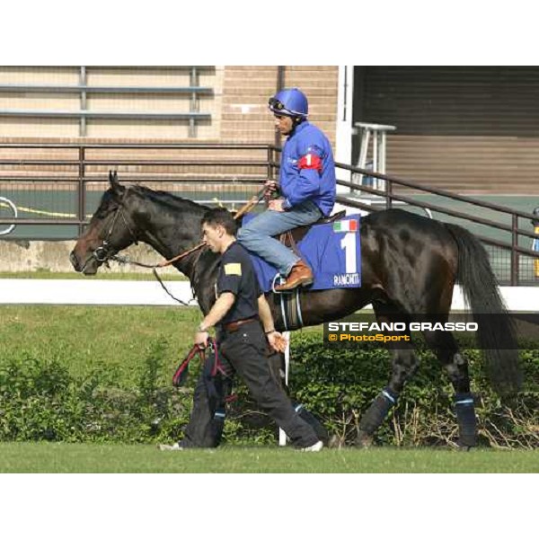 Endo Botti on Ramonti pictured at Sha Tin racetrack after morning track works Hong Kong, 6th dec. 2006 ph. Stefano Grasso