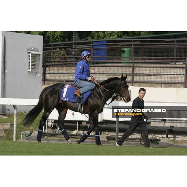 Endo Botti on Ramonti pictured at Sha Tin racetrack preparing for morning track works Hong Kong, 6th dec. 2006 ph. Stefano Grasso