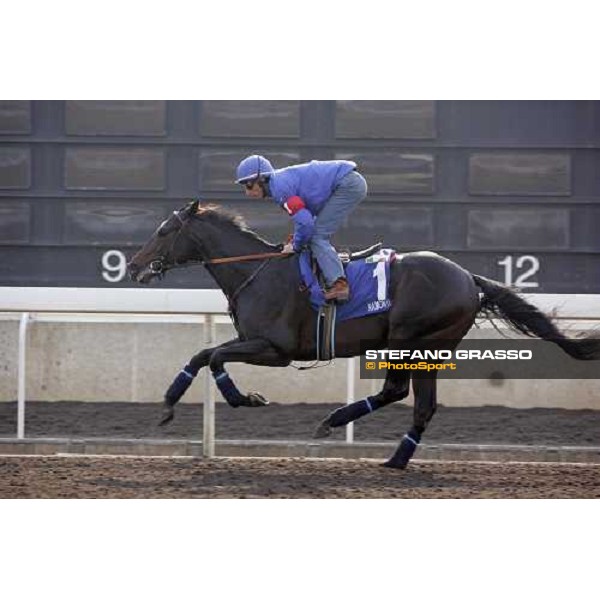 Endo Botti on Ramonti pictured at Sha Tin racetrack during morning track works Hong Kong, 6th dec. 2006 ph. Stefano Grasso