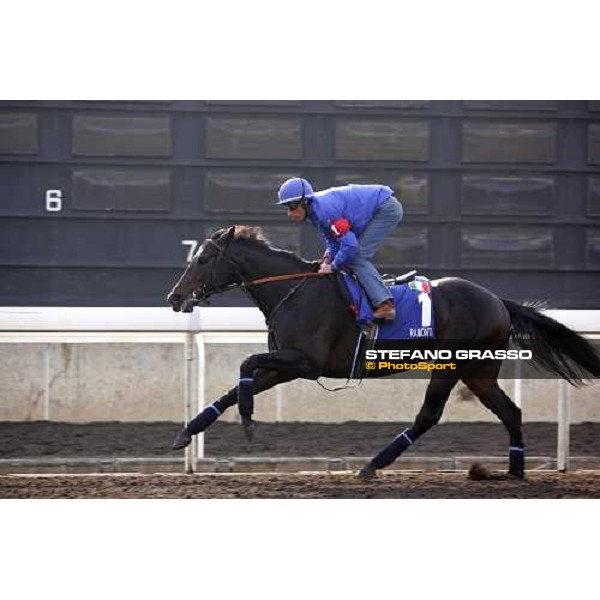 Endo Botti on Ramonti pictured at Sha Tin racetrack during morning track works Hong Kong, 6th dec. 2006 ph. Stefano Grasso