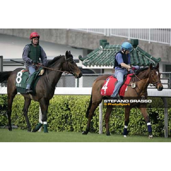 Pride followed by Shamdala pictured at Sha Tin racetrack preparing for morning track works Hong Kong, 6th dec. 2006 ph. Stefano Grasso