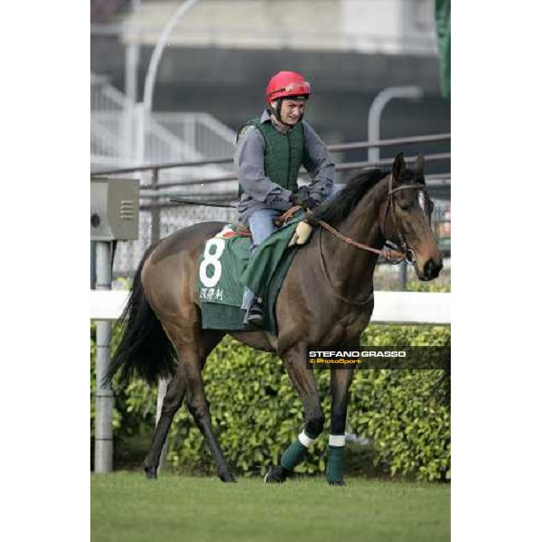 Shamdala pictured at Sha Tin racetrack preparing for morning track works Hong Kong, 6th dec. 2006 ph. Stefano Grasso