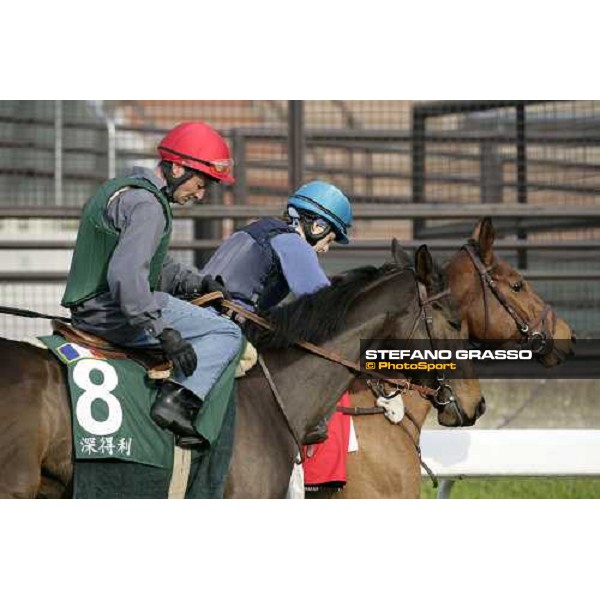 Pride followed by Shamdala pictured at Sha Tin racetrack preparing for morning track works Hong Kong, 6th dec. 2006 ph. Stefano Grasso