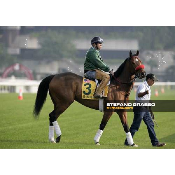 Fast Parade pictured at Sha Tin racetrack before morning track works Hong Kong, 6th dec. 2006 ph. Stefano Grasso