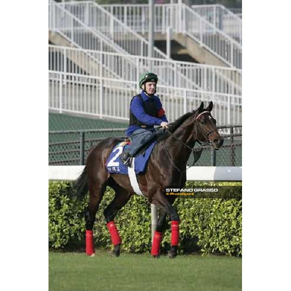 Mustameet pictured at Sha Tin racetrack before morning track works Hong Kong, 6th dec. 2006 ph. Stefano Grasso