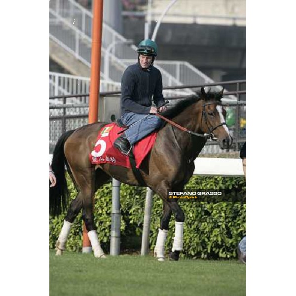 Alexander Goldrun pictured at Sha Tin racetrack before morning track works Hong Kong, 6th dec. 2006 ph. Stefano Grasso