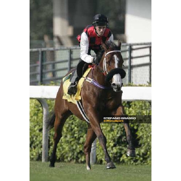 Takeover Target pictured at Sha Tin racetrack during morning track works Hong Kong, 6th dec. 2006 ph. Stefano Grasso