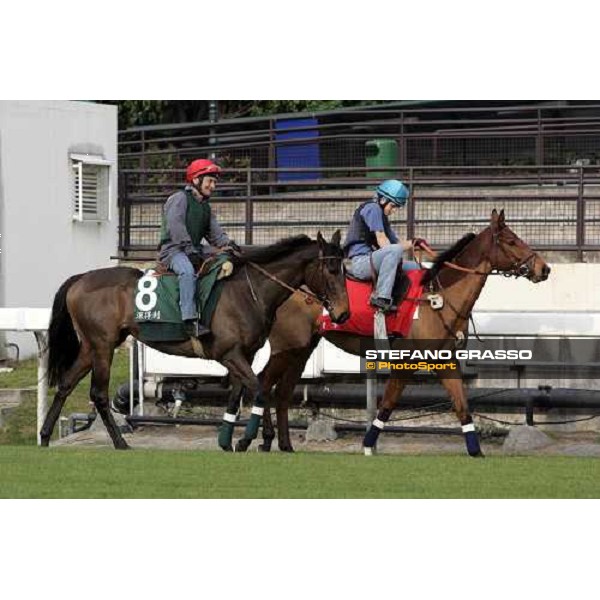 Pride and Shamdala pictured at Sha Tin racetrack preparing for morning track works Hong Kong, 6th dec. 2006 ph. Stefano Grasso