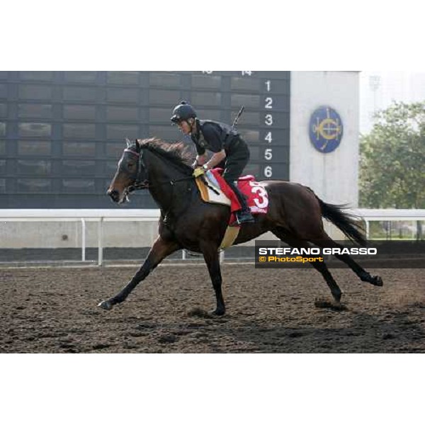 Admire Moon pictured at Sha Tin racetrack during morning track works Hong Kong, 6th dec. 2006 ph. Stefano Grasso