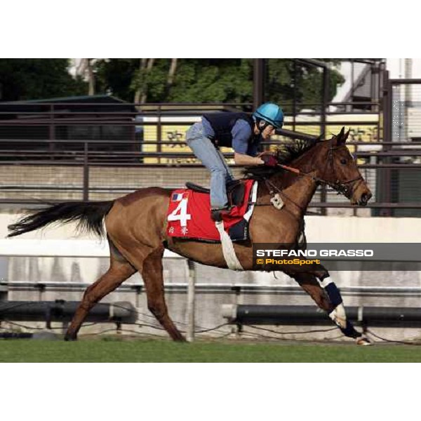 Pride pictured at Sha Tin racetrack during morning track works Hong Kong, 6th dec. 2006 ph. Stefano Grasso
