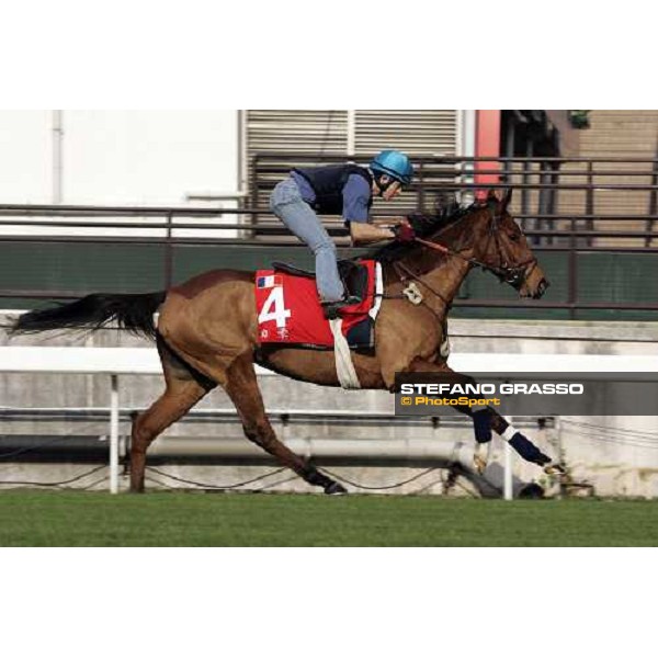 Pride pictured at Sha Tin racetrack during morning track works Hong Kong, 6th dec. 2006 ph. Stefano Grasso