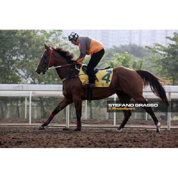 Red Oog pictured at Sha Tin racetrack during morning track works Hong Kong, 6th dec. 2006 ph. Stefano Grasso