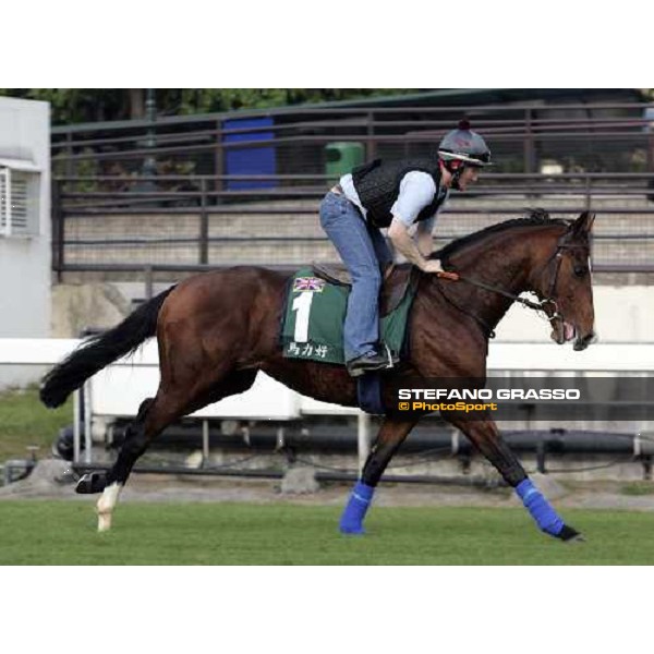 Maraahel pictured at Sha Tin racetrack during morning track works Hong Kong, 6th dec. 2006 ph. Stefano Grasso