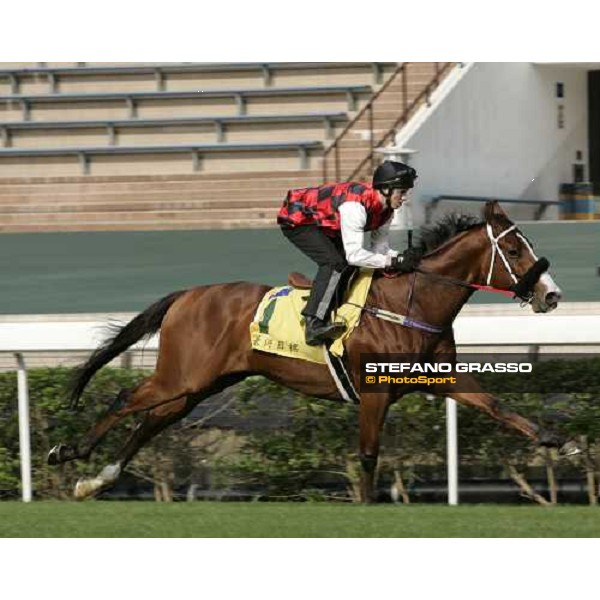 Takeover Target pictured at Sha Tin racetrack during morning track works Hong Kong, 6th dec. 2006 ph. Stefano Grasso
