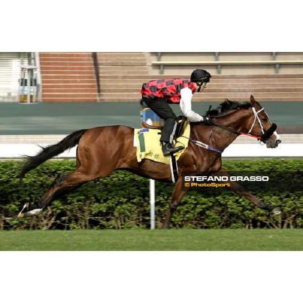 Takeover Target pictured at Sha Tin racetrack during morning track works Hong Kong, 6th dec. 2006 ph. Stefano Grasso