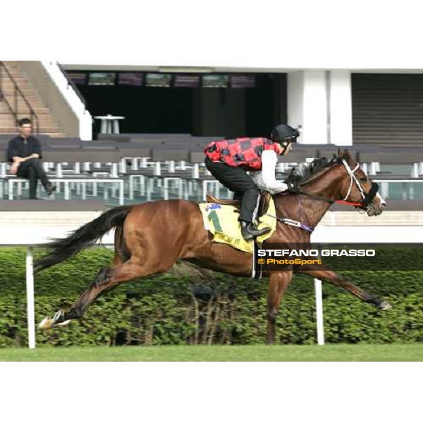 Takeover Target pictured at Sha Tin racetrack during morning track works Hong Kong, 6th dec. 2006 ph. Stefano Grasso