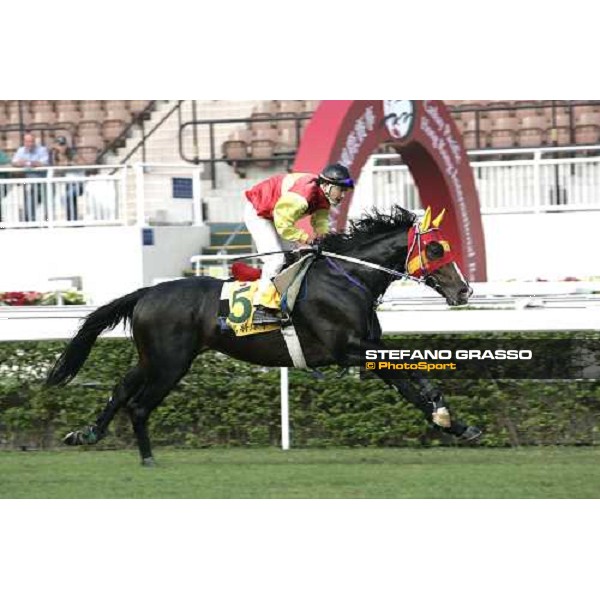 Meisho Bowler pictured at Sha Tin racetrack during morning track works Hong Kong, 6th dec. 2006 ph. Stefano Grasso