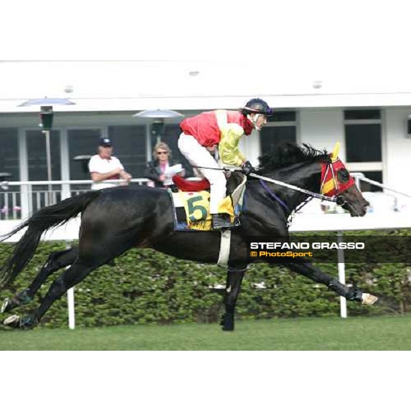 Meisho Bowler pictured at Sha Tin racetrack during morning track works Hong Kong, 6th dec. 2006 ph. Stefano Grasso