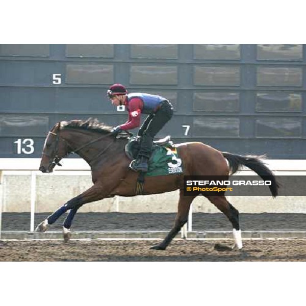 Egerton pictured at Sha Tin racetrack during morning track works Hong Kong, 6th dec. 2006 ph. Stefano Grasso